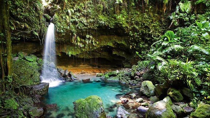 Ön Dominica upptäcktes av Columbus på en söndag år 1493, därav namnet Dominica. Ön är oerhört bördig och grön med tät subtropisk regnskog och har en synnerligen artrik flora och fauna.