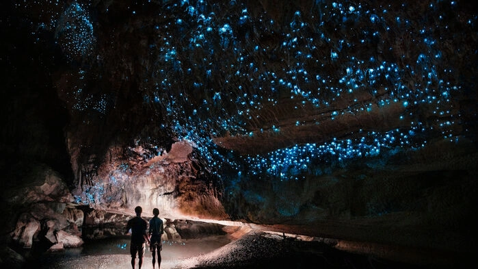 Waipu caves